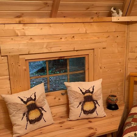 Villa Starry Meadow & Rescued Animal Experiences Great Yarmouth Habitación foto