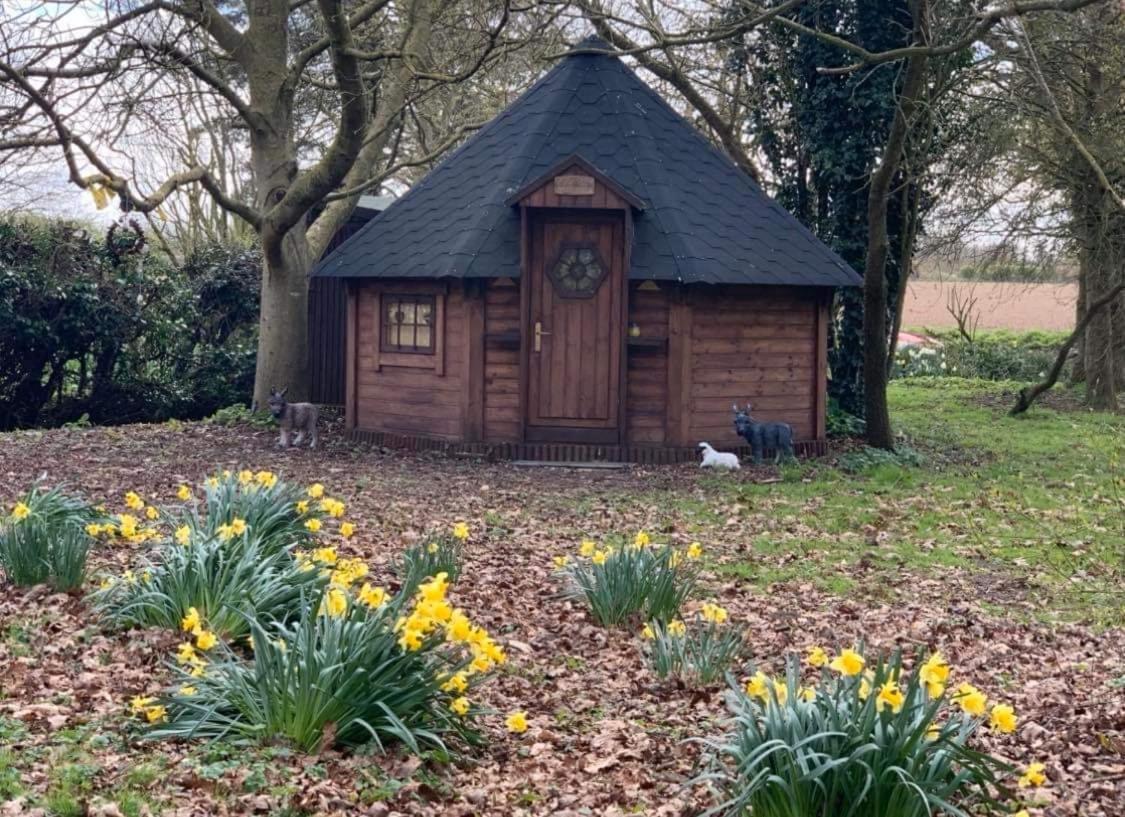 Villa Starry Meadow & Rescued Animal Experiences Great Yarmouth Exterior foto