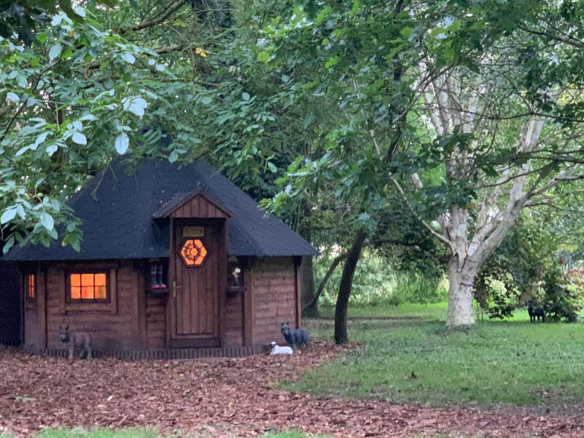 Villa Starry Meadow & Rescued Animal Experiences Great Yarmouth Exterior foto